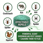 💥LAST DAY SALE 50%OFF💥🟢 Natural Peppermint Rodent Repellent Tablets – 10 Pack