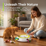Whack A Mole Cat Mouse Toy for Cats - Interactive Cat Toys with Automatic Feather Mice & No Touch Sensor Required