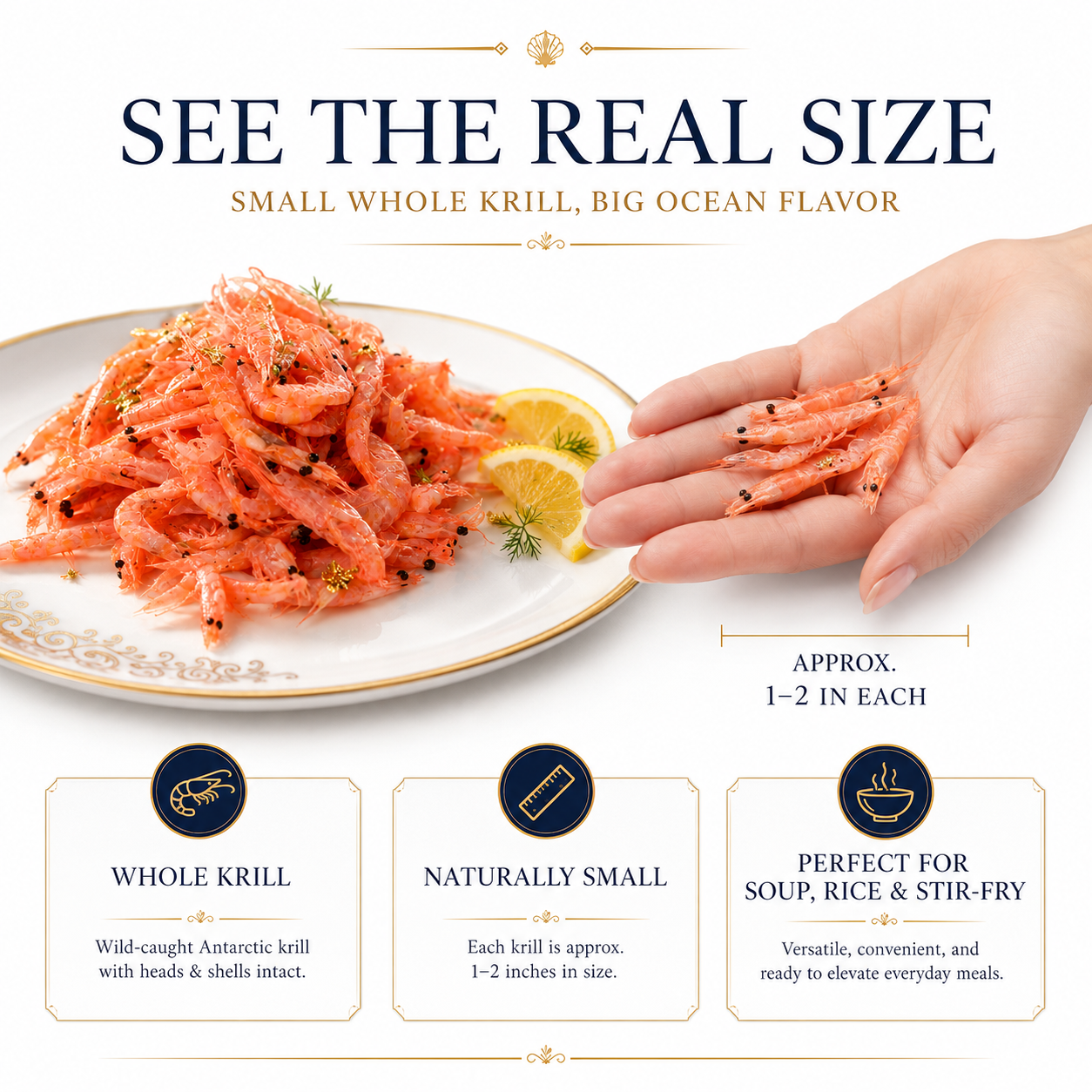 🦐 Southern Ocean Ruby Krill Reserve — Wild-Caught Antarctic Krill  Pure Antarctic Waters · Naturally Rich Flavor · Premium Seafood Selection