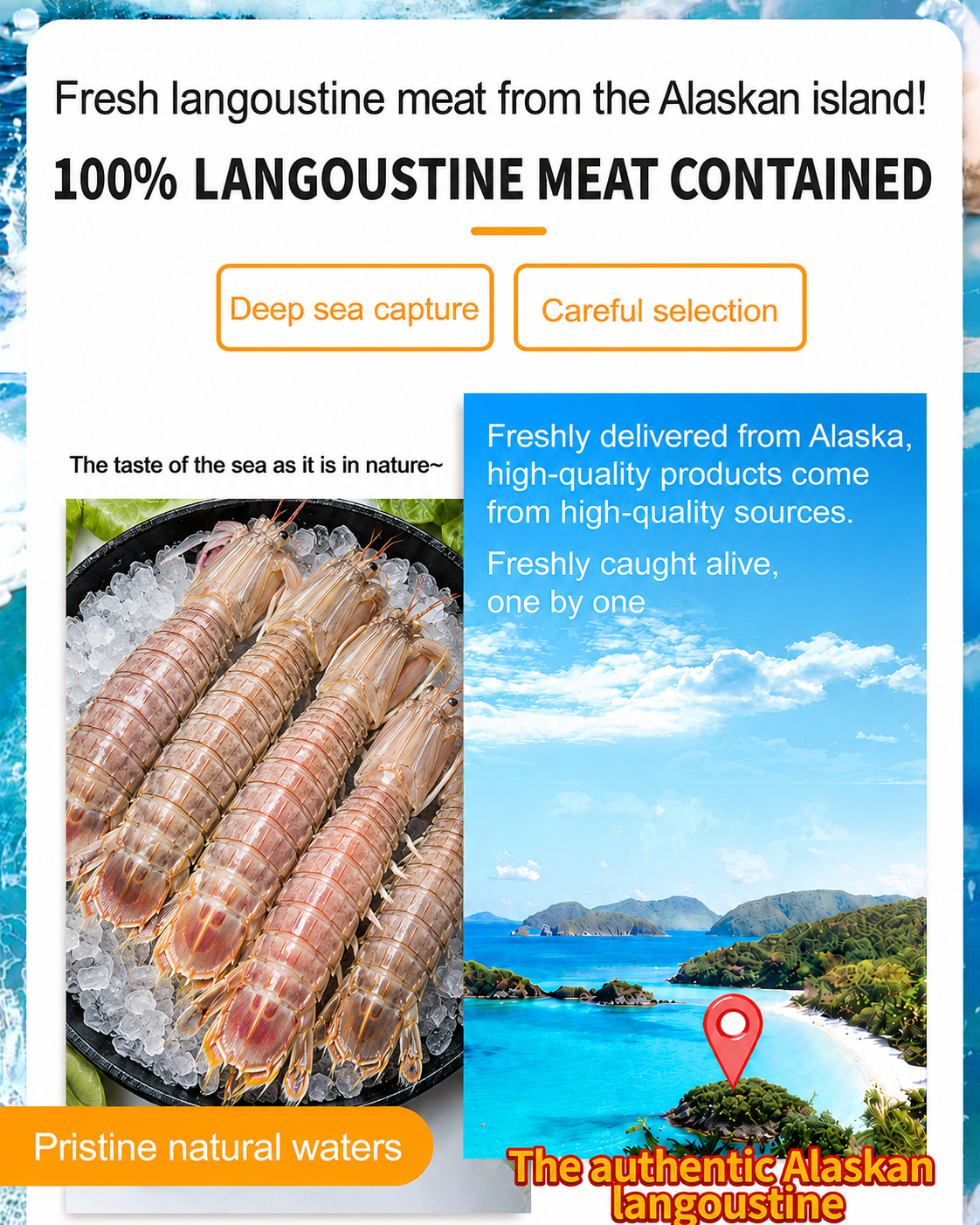 🦐 Alaskan Mantis Shrimp - 🏆💎 Ready to Eat High-Protein Seafood Snack