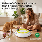 Whack A Mole Cat Mouse Toy for Cats - Interactive Cat Toys with Automatic Feather Mice & No Touch Sensor Required